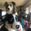 jennifer_frana